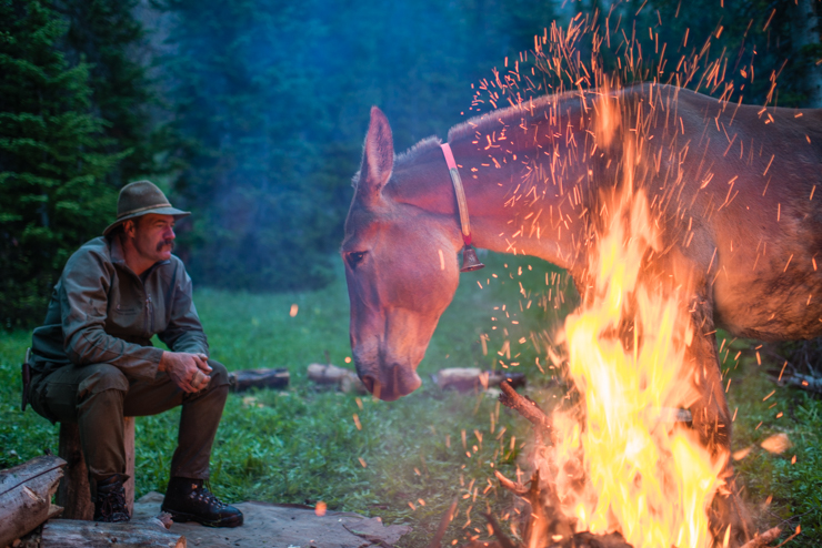 Yellowstone Campfires. Mountain guide Wes Livingston and his mule Rosie by a camp fire in the Thorofare, western Wyoming.