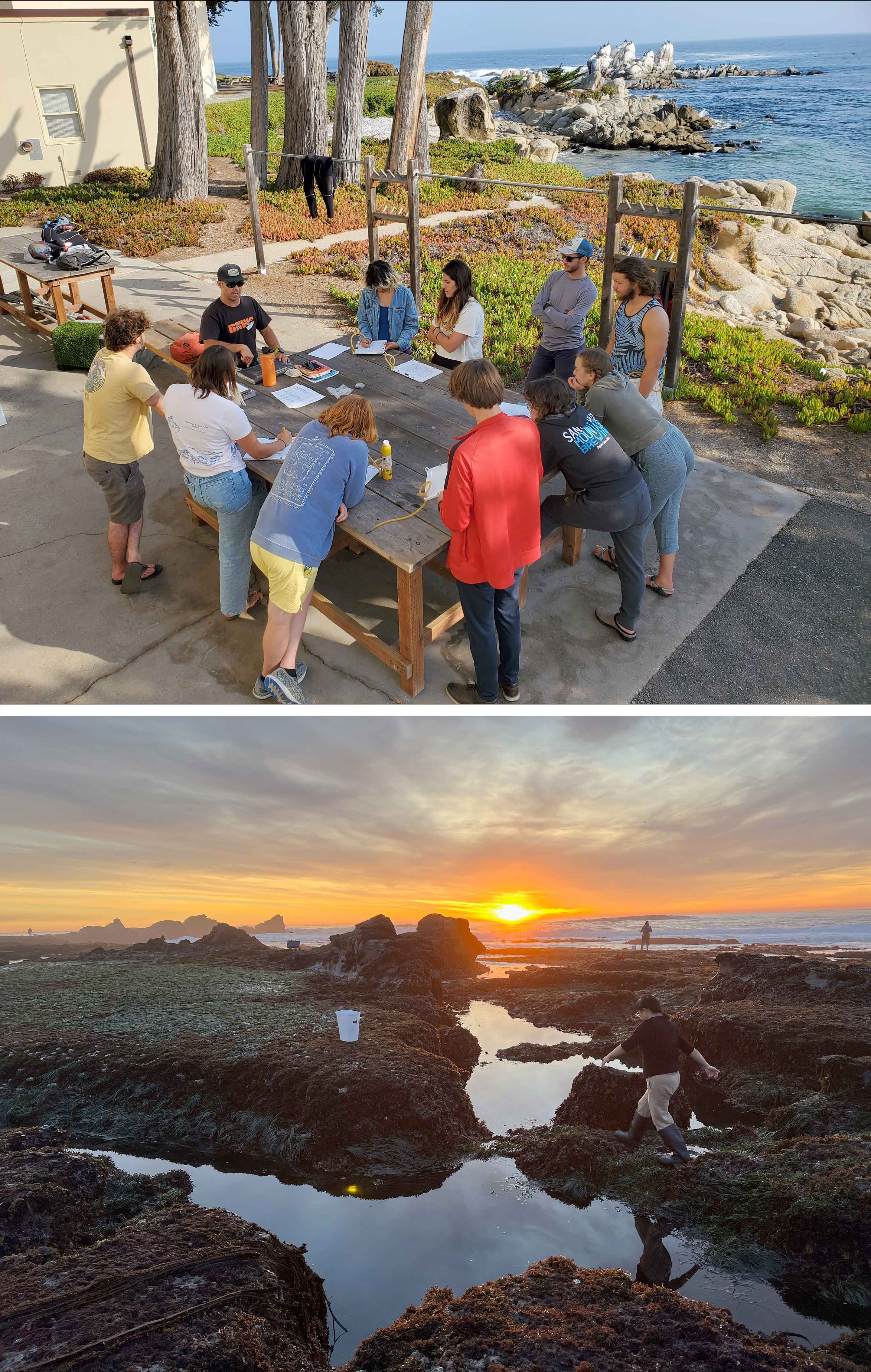 Two images: first a group of students looking at something on a table outside near the ocean. Next people gathering something at the beach at sunset