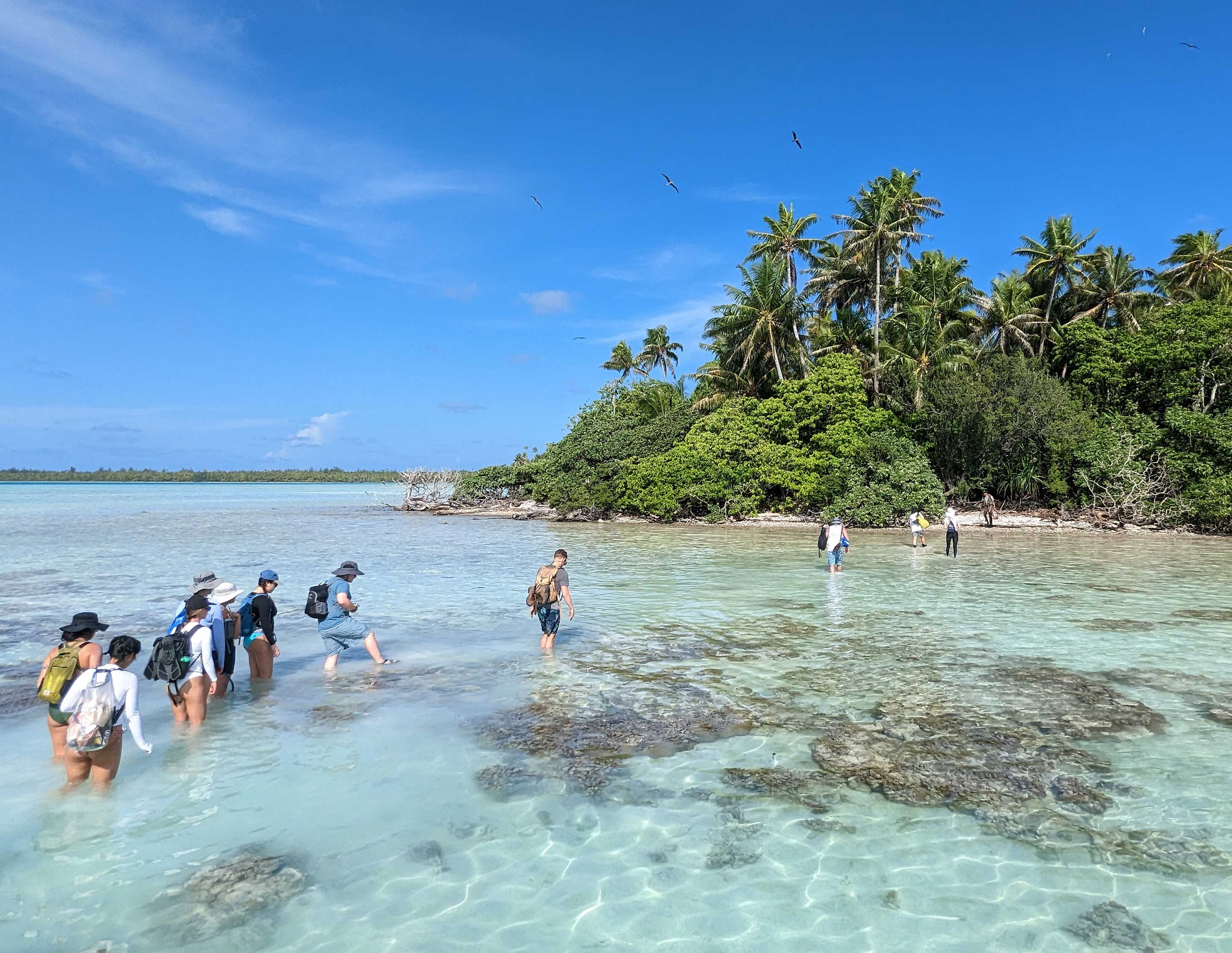 People walking in shallow tropical water