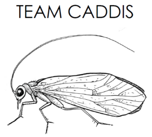 Team Caddis Logo