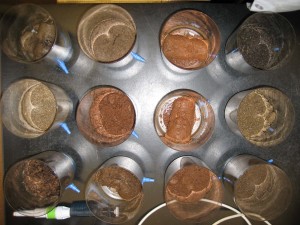 Kearney soil