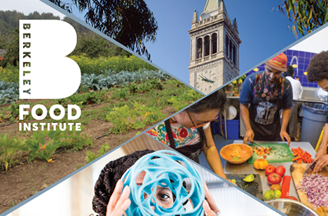 Berkeley food institute hopes to build Equitable and Inclusive Food Systems at UC Berkeley.