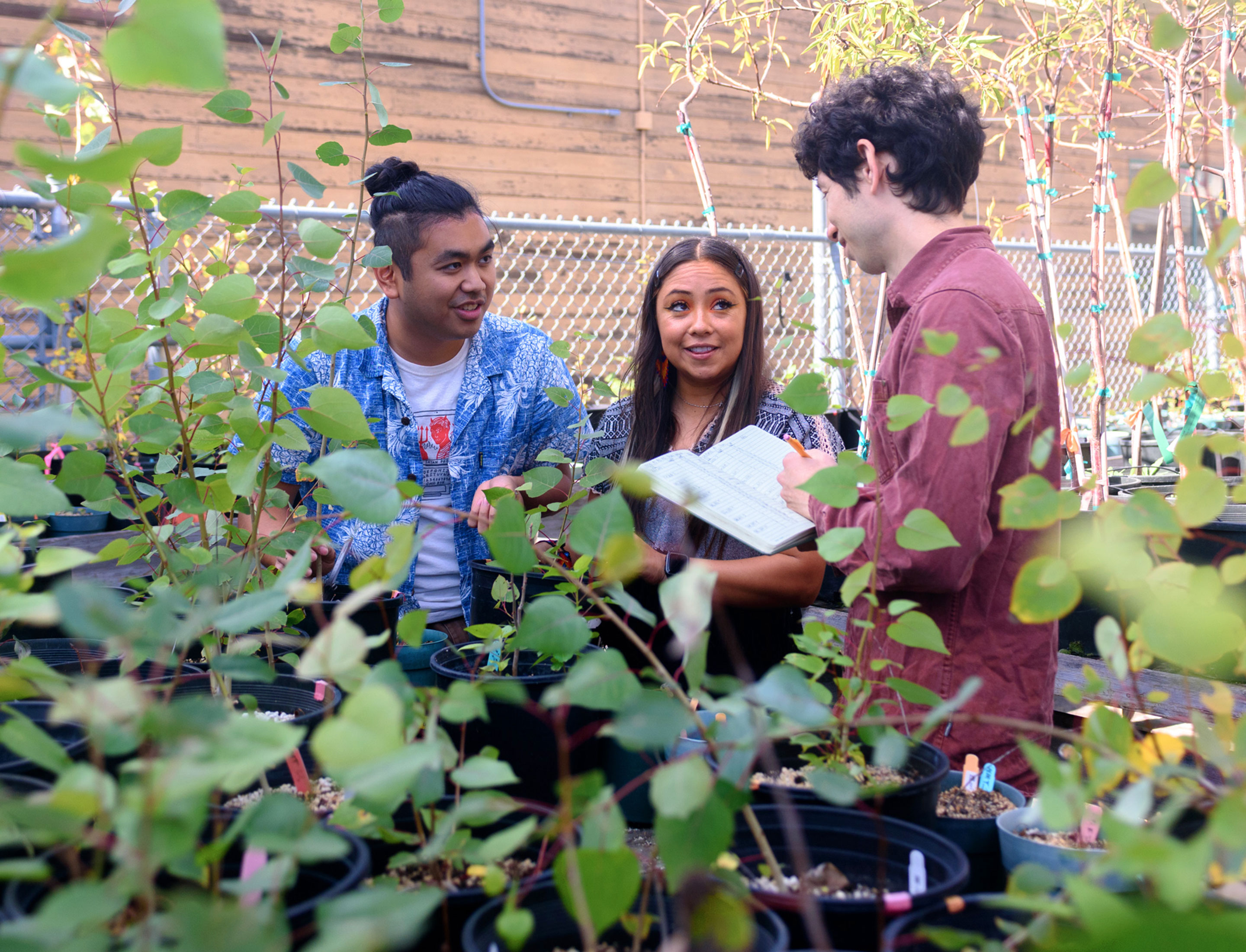 Three researchers near plants in a greenhouse.