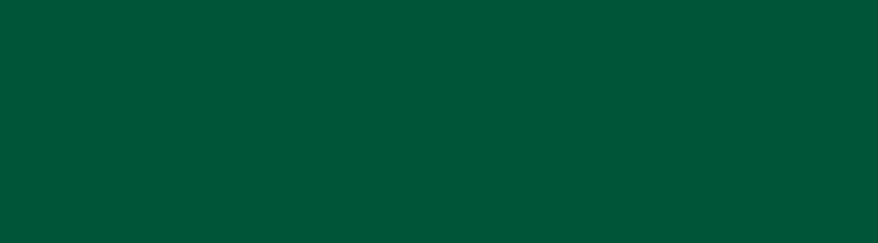 A green bar of color - decorative