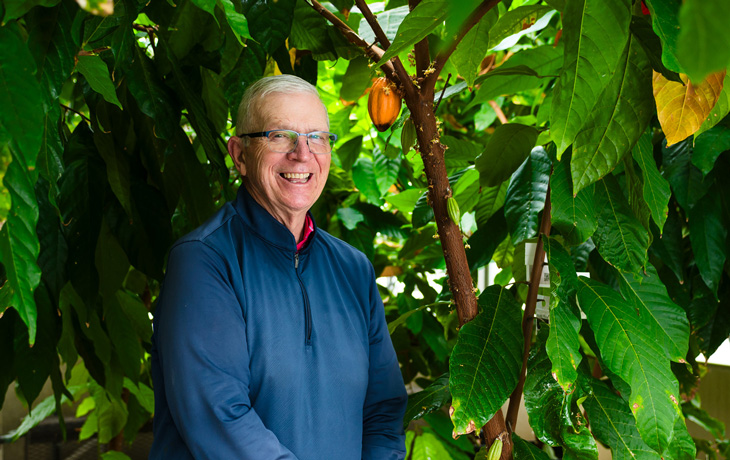 Cacao portrait with green trees