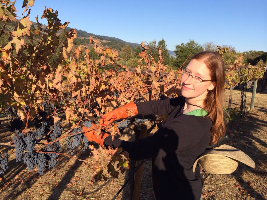 Laura Driscoll at a vineyard