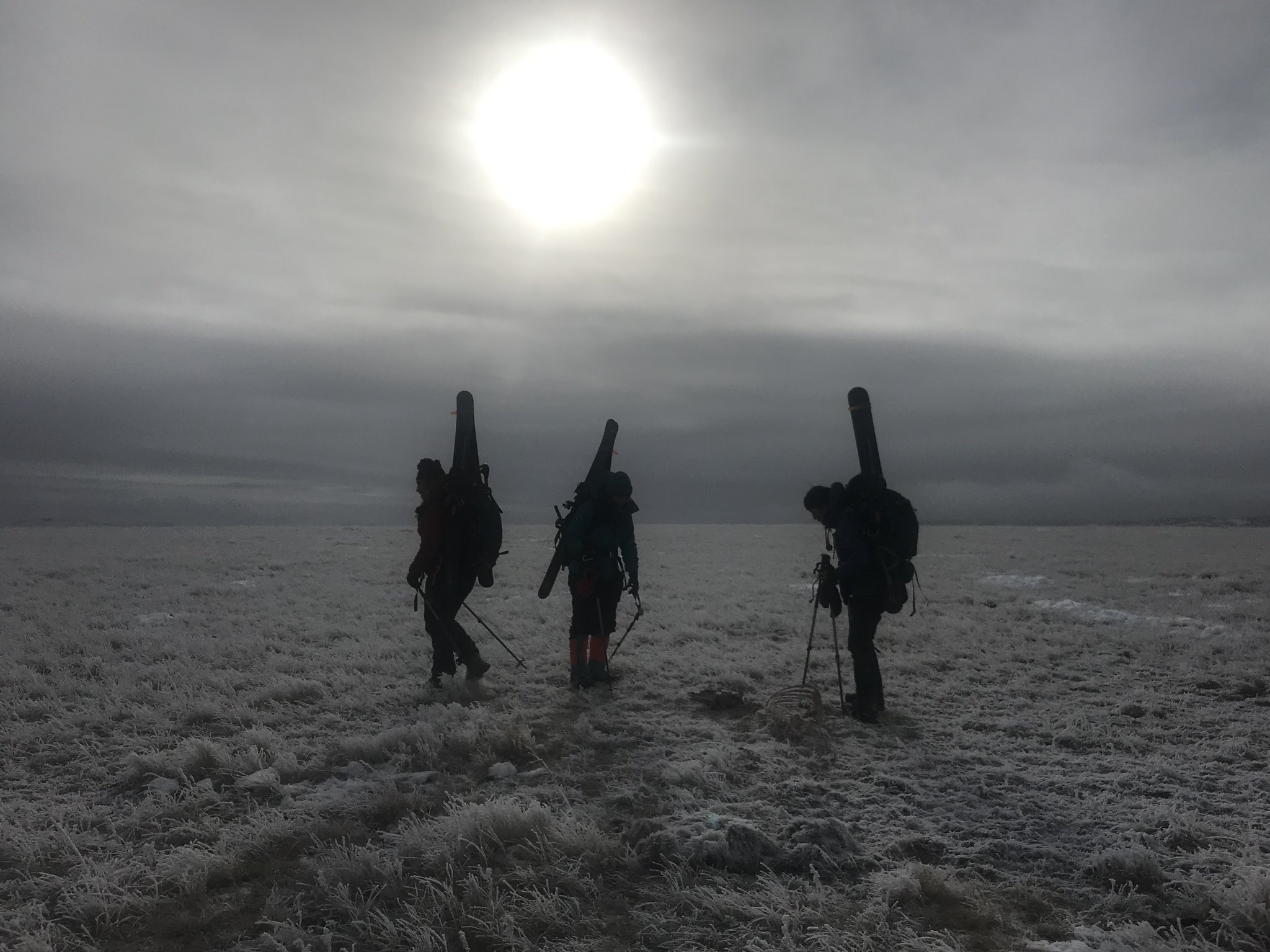 Three figures standing in a field with a hazy sky