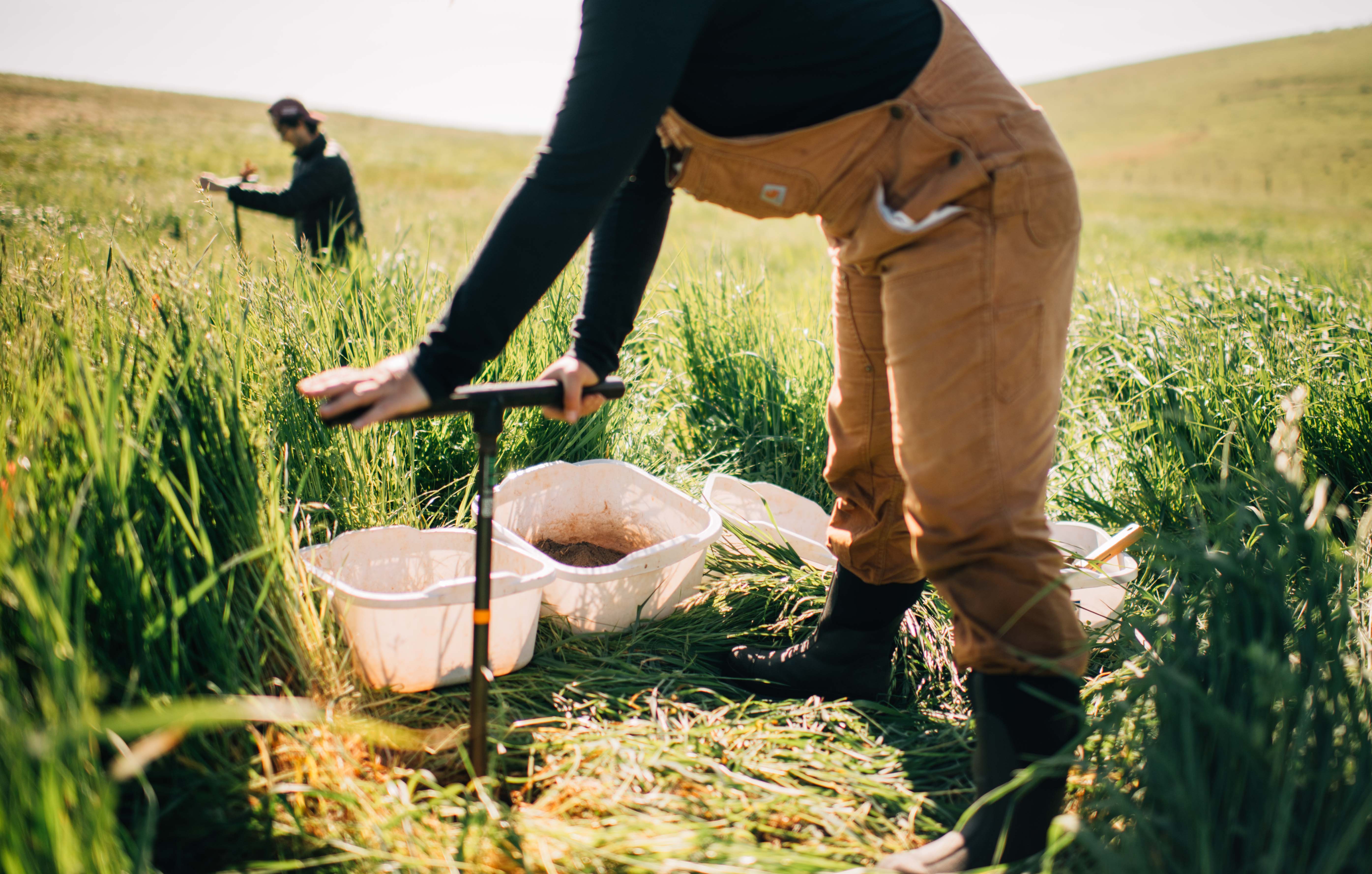 Paige Stanley digging in a field.