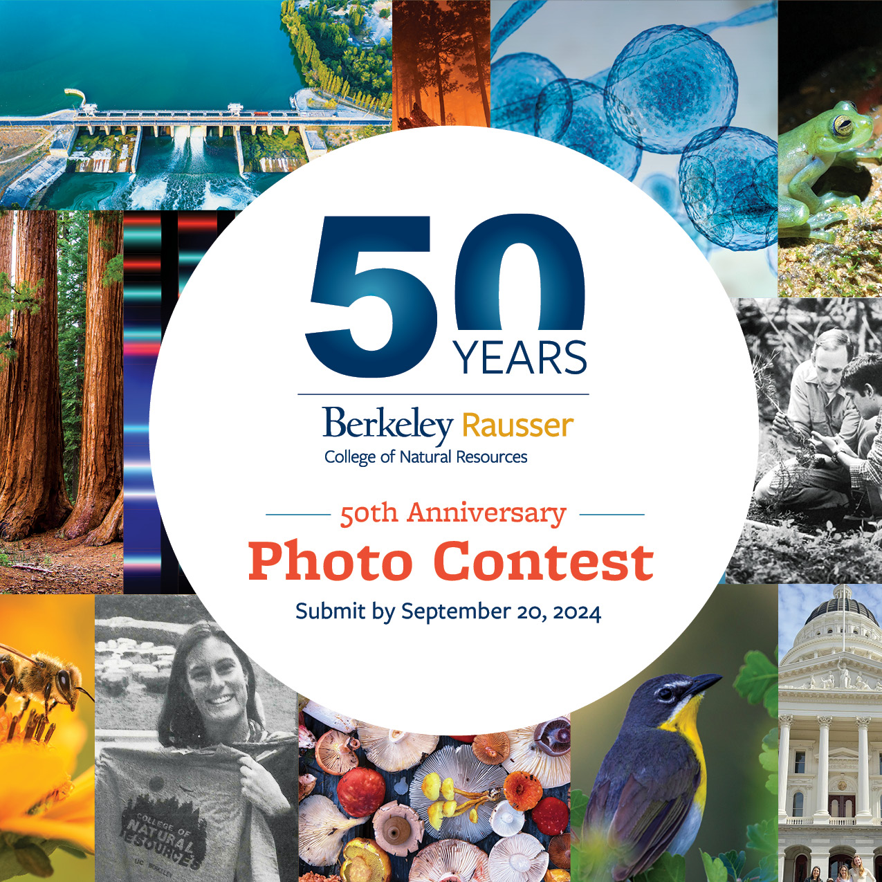 50th Photo Contest Square graphic