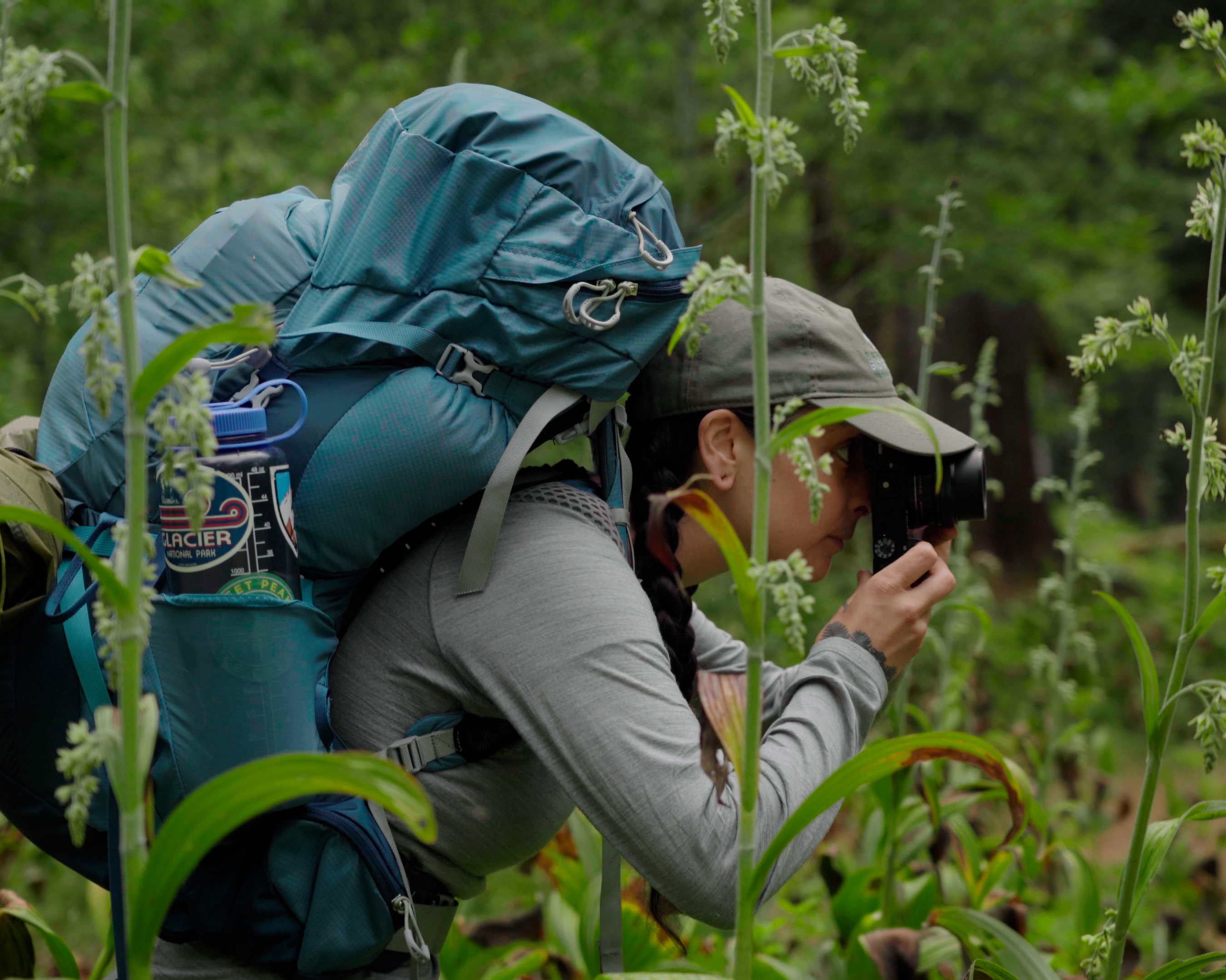 A researcher taking pictures of flowers in a field