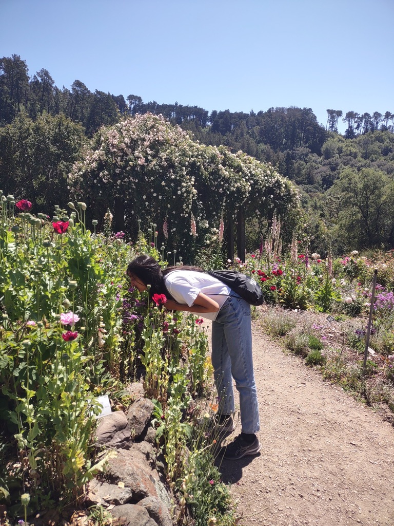 Nikita smelling flowers