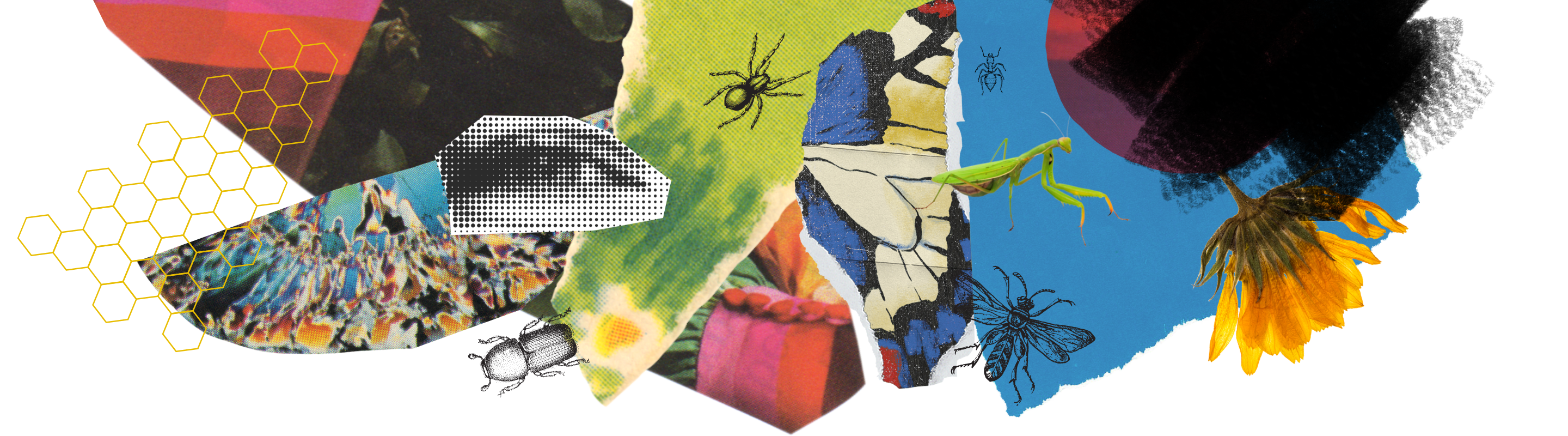 A colorful collage with insects, torn paper, a human eye, and a honeycomb