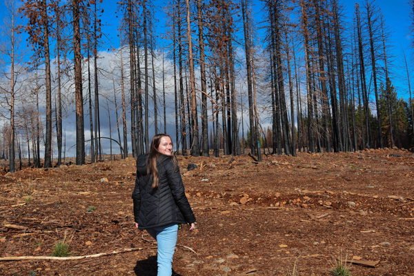 Ashlyn Olah walking through a forest post burn