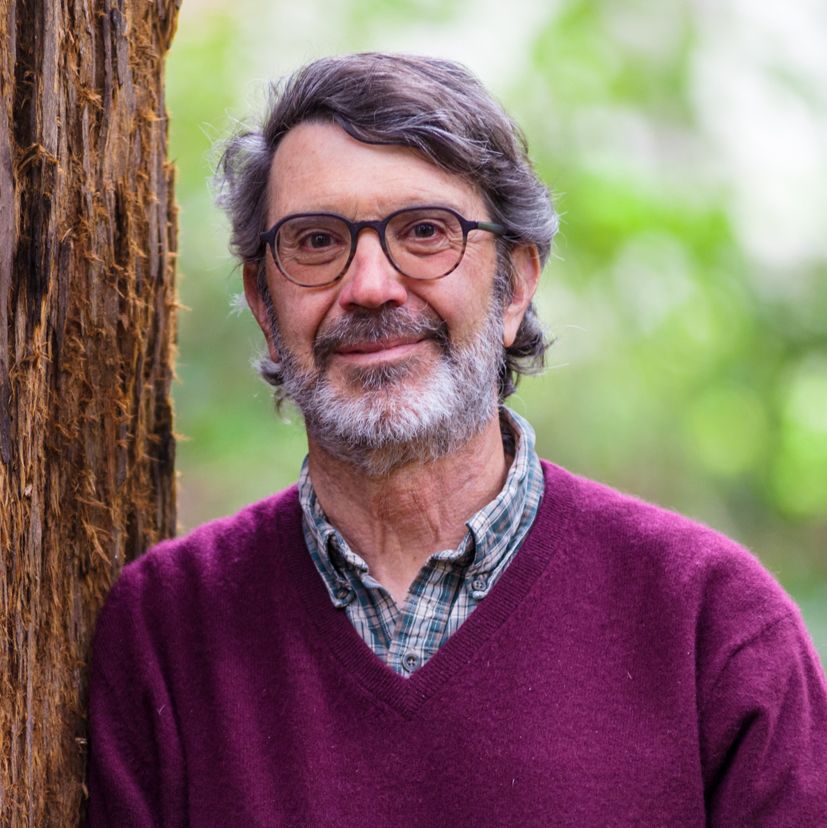 Headshot of Dennis Baldocchi