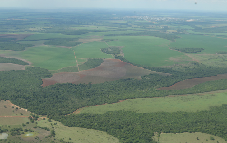 An aerial photo of trees and green space. Conservation International photo by Inaê Brandão