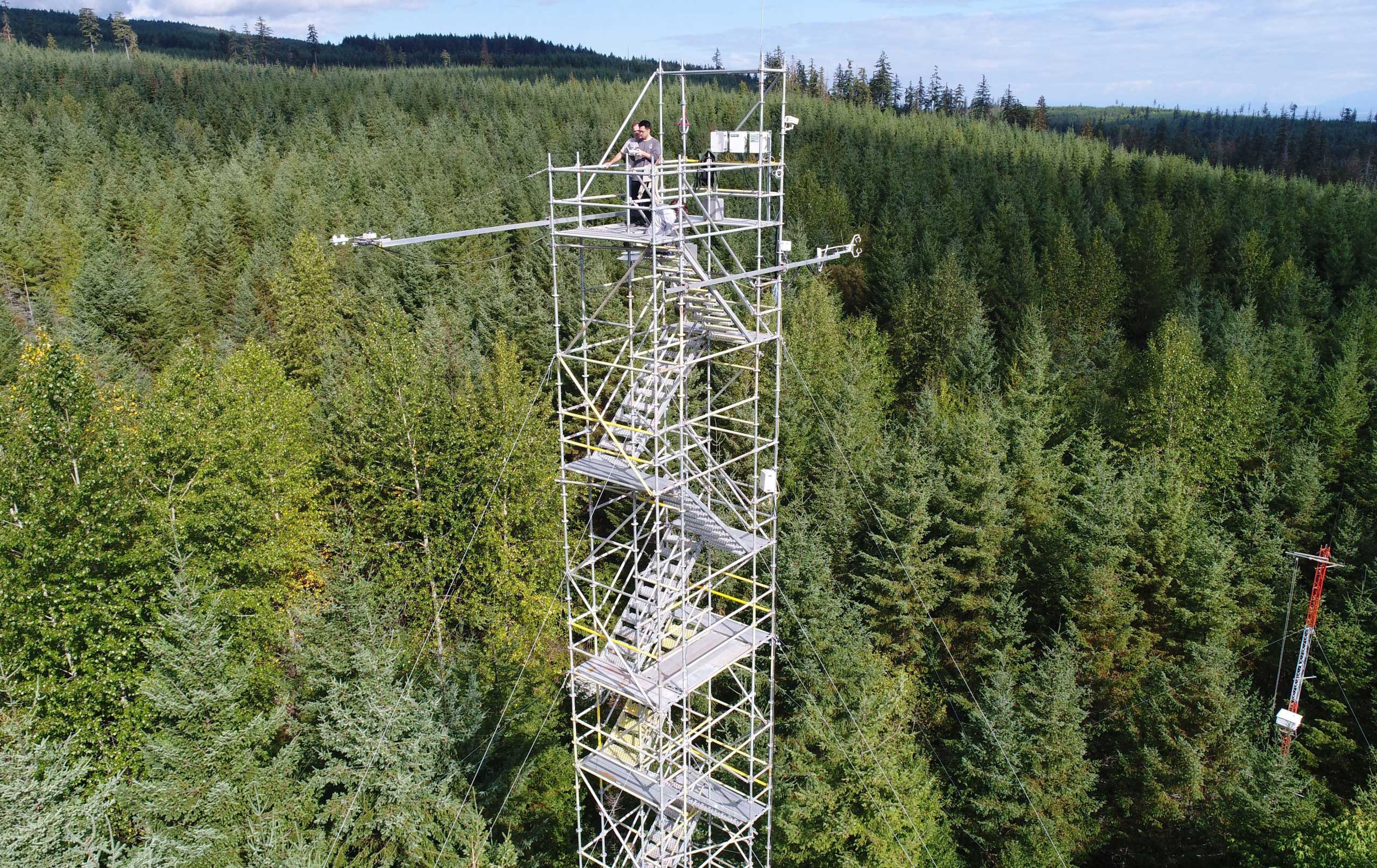 A researcher on top of a tall meteorological tower in a forest