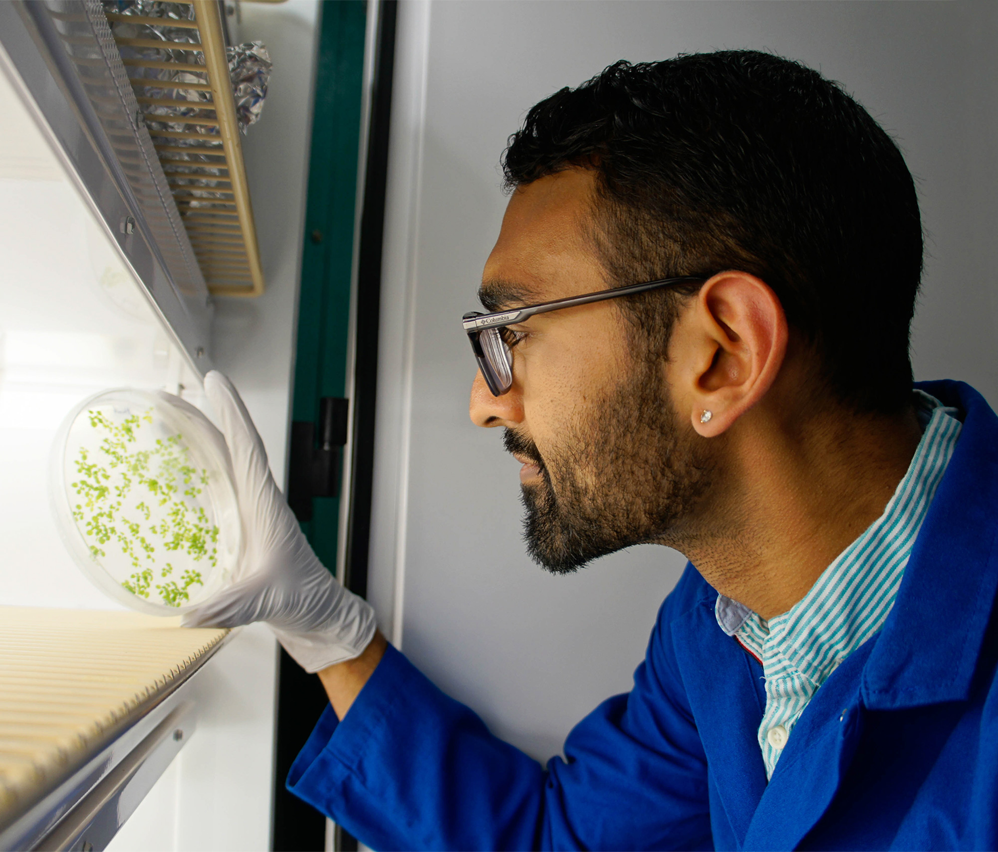 Dhruv Patel, a graduate student in the department of Plant and Microbial Biology, works to reduce food insecurity across the world through research that can help improve the efficiency of photosynthesis and water use in plants.