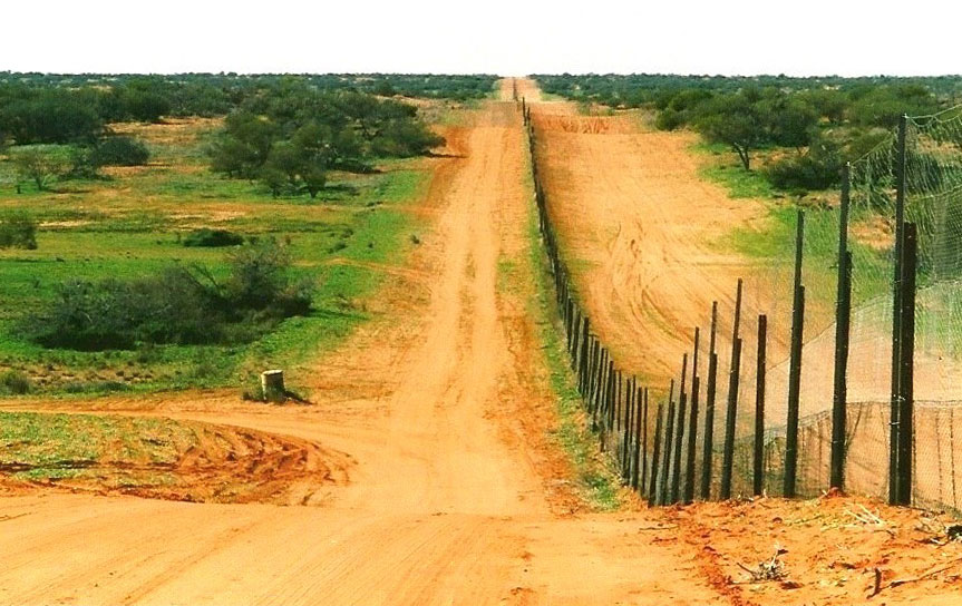 Dingo fence on landscape.