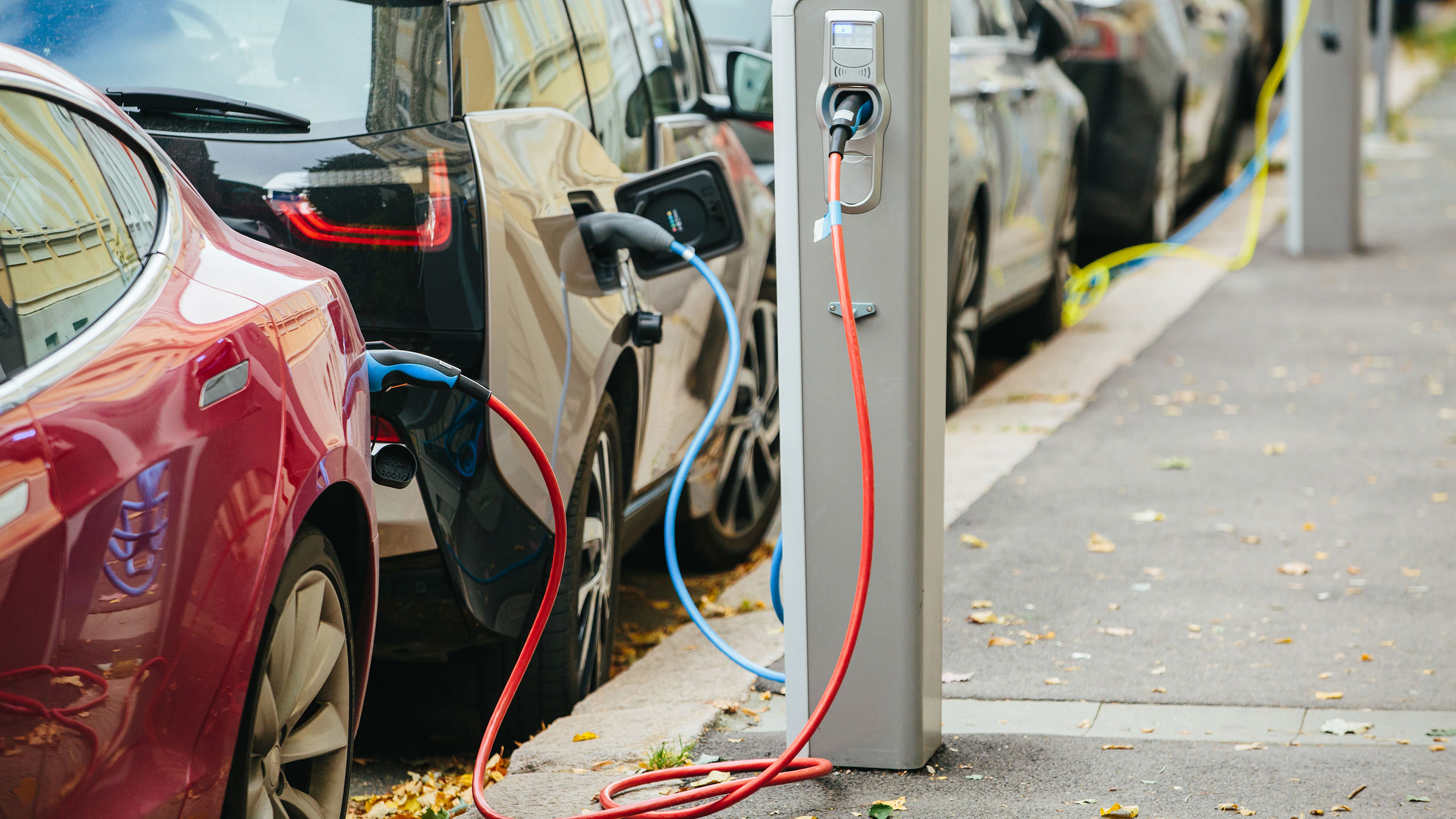 Electric vehicles parked along a road and plugged in