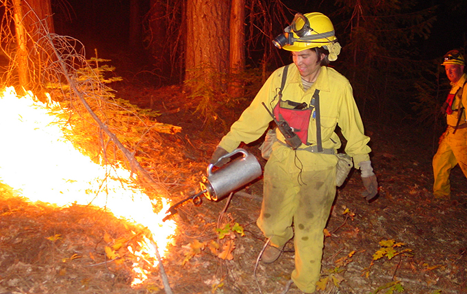 Former graduate student lighting a prescribed burn with a torch