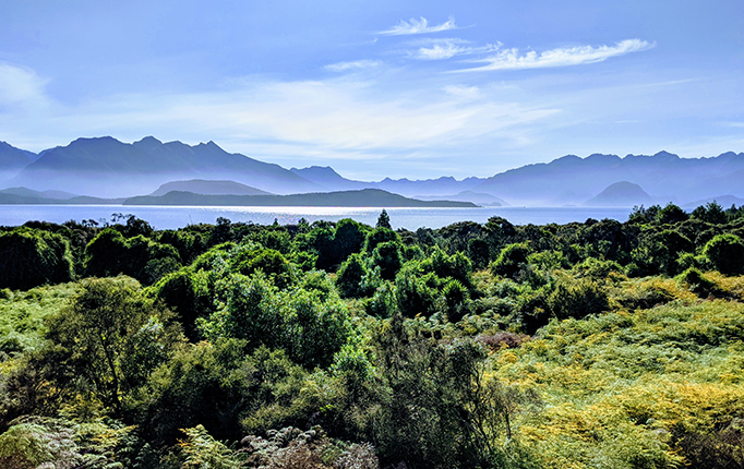 Fjordland National Park in New Zealand