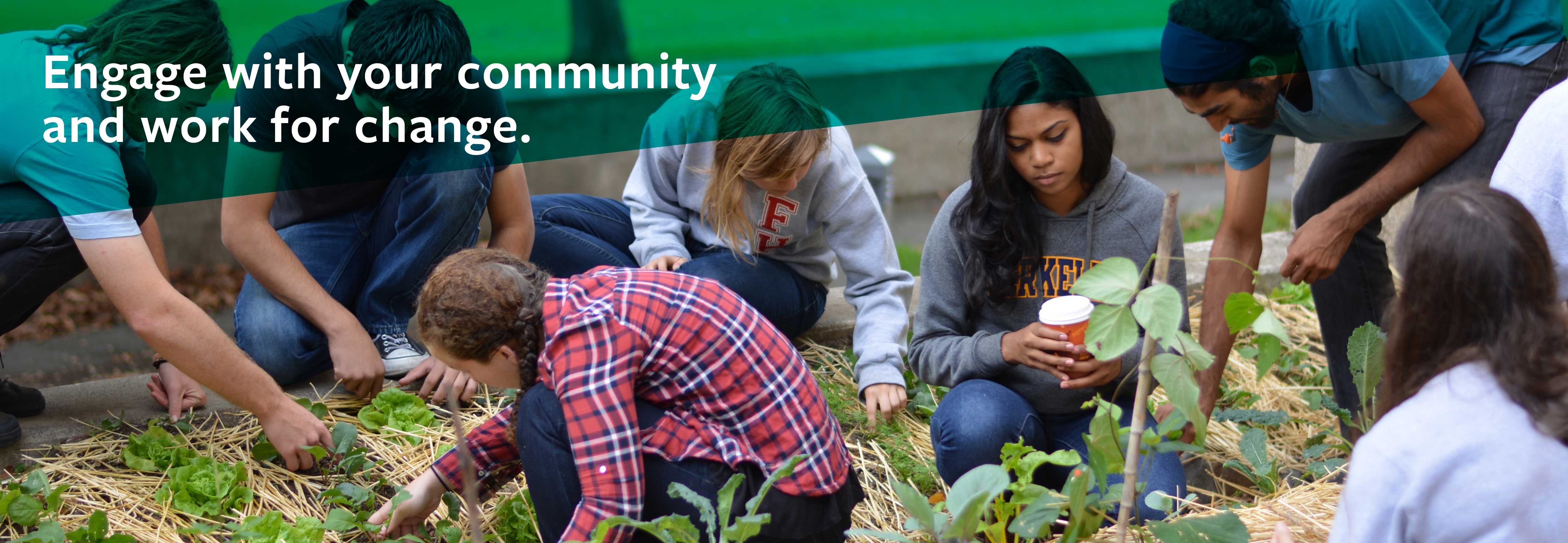 Food minor students gardening