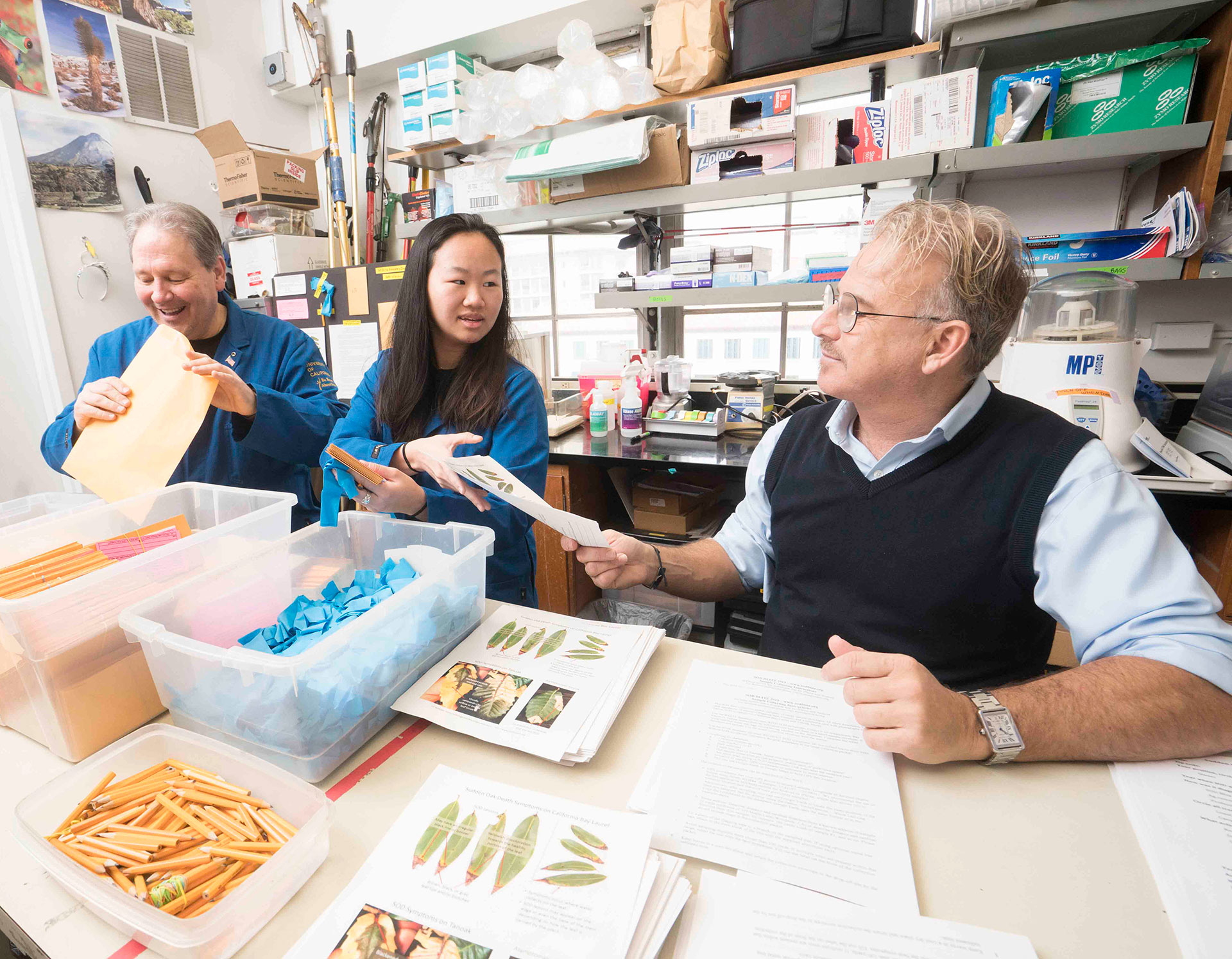 Matteo Garbelotto and members of his lab preparing kits for citizen science volunteers