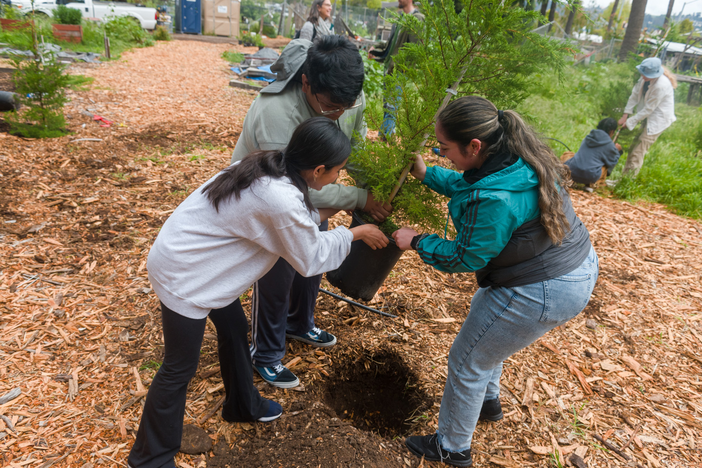 A group of male and female students hold a green tree in a pot above a hole.