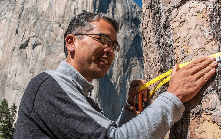 A photo of Patrick Gonzalez measuring the diameter of a tree in Yosemite.