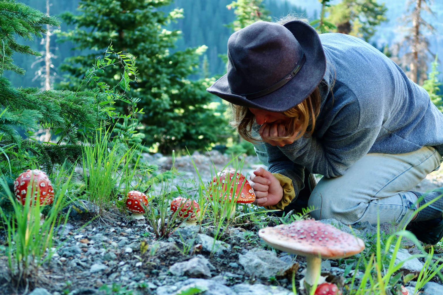 Hope Gale-Hendry examines a troop of Amanita mushrooms. Photo courtesy of Hope Gale-Hendry