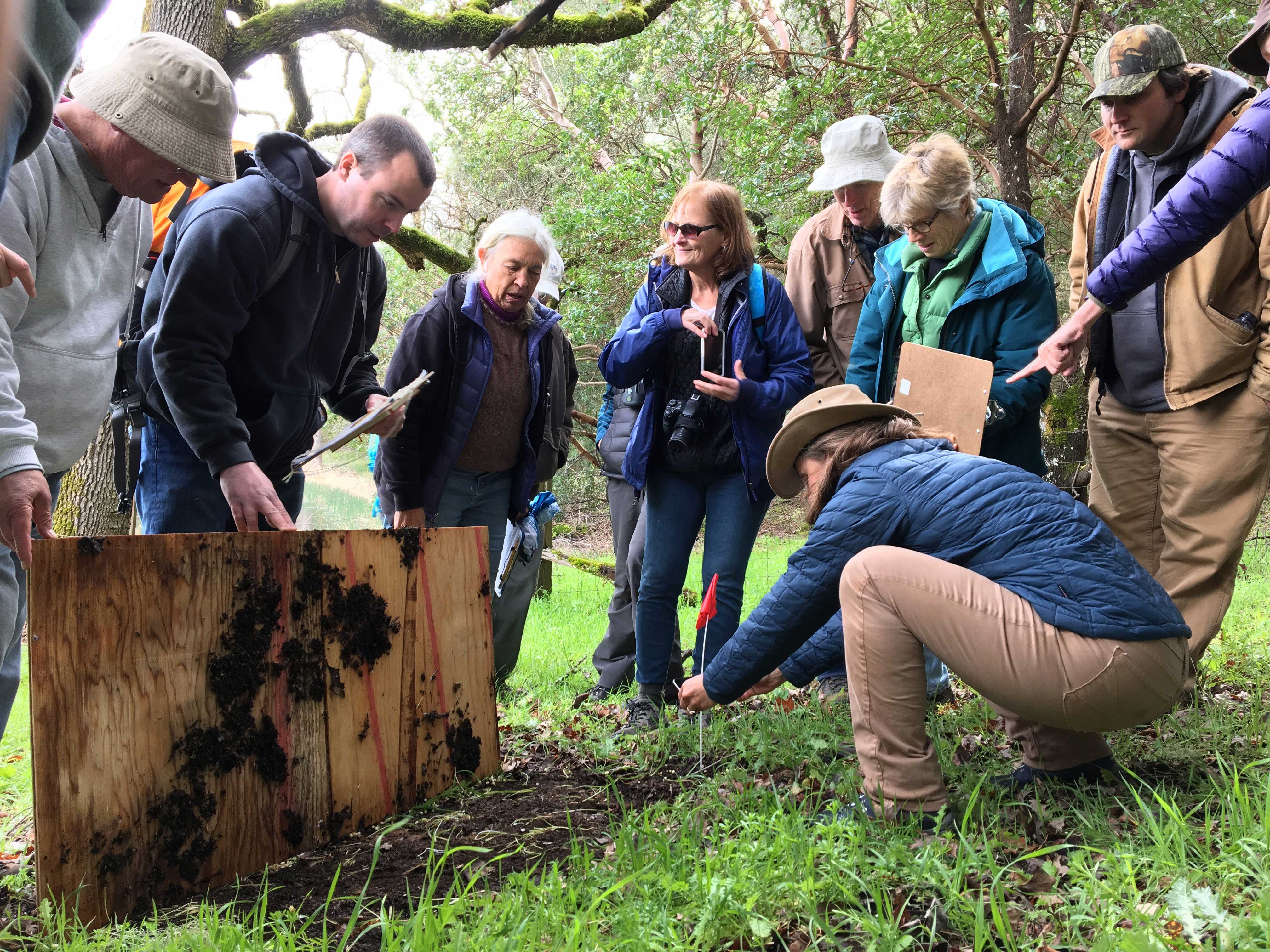 People looking at soil