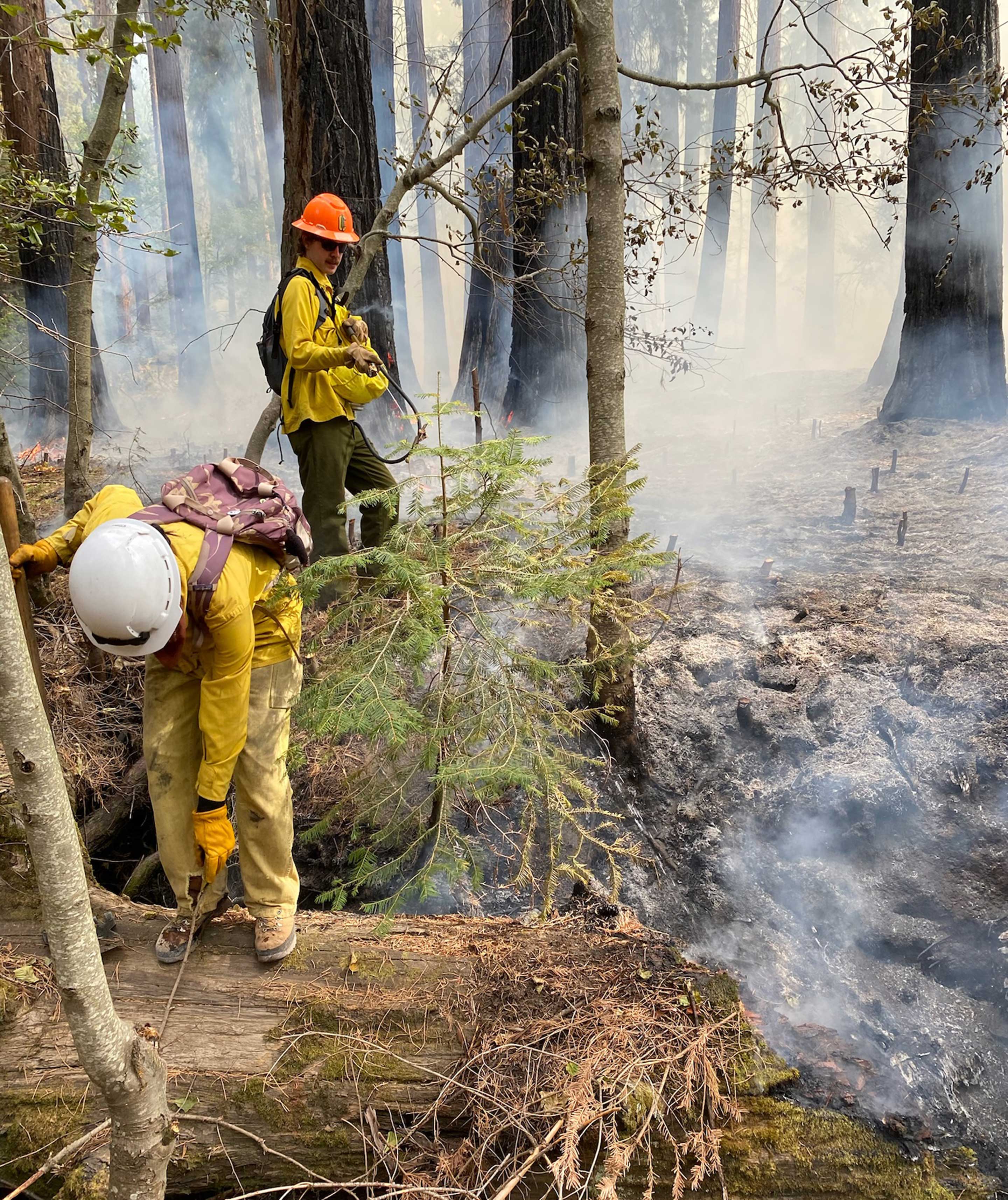 Two people in orange fire gear looking at a smoking forest