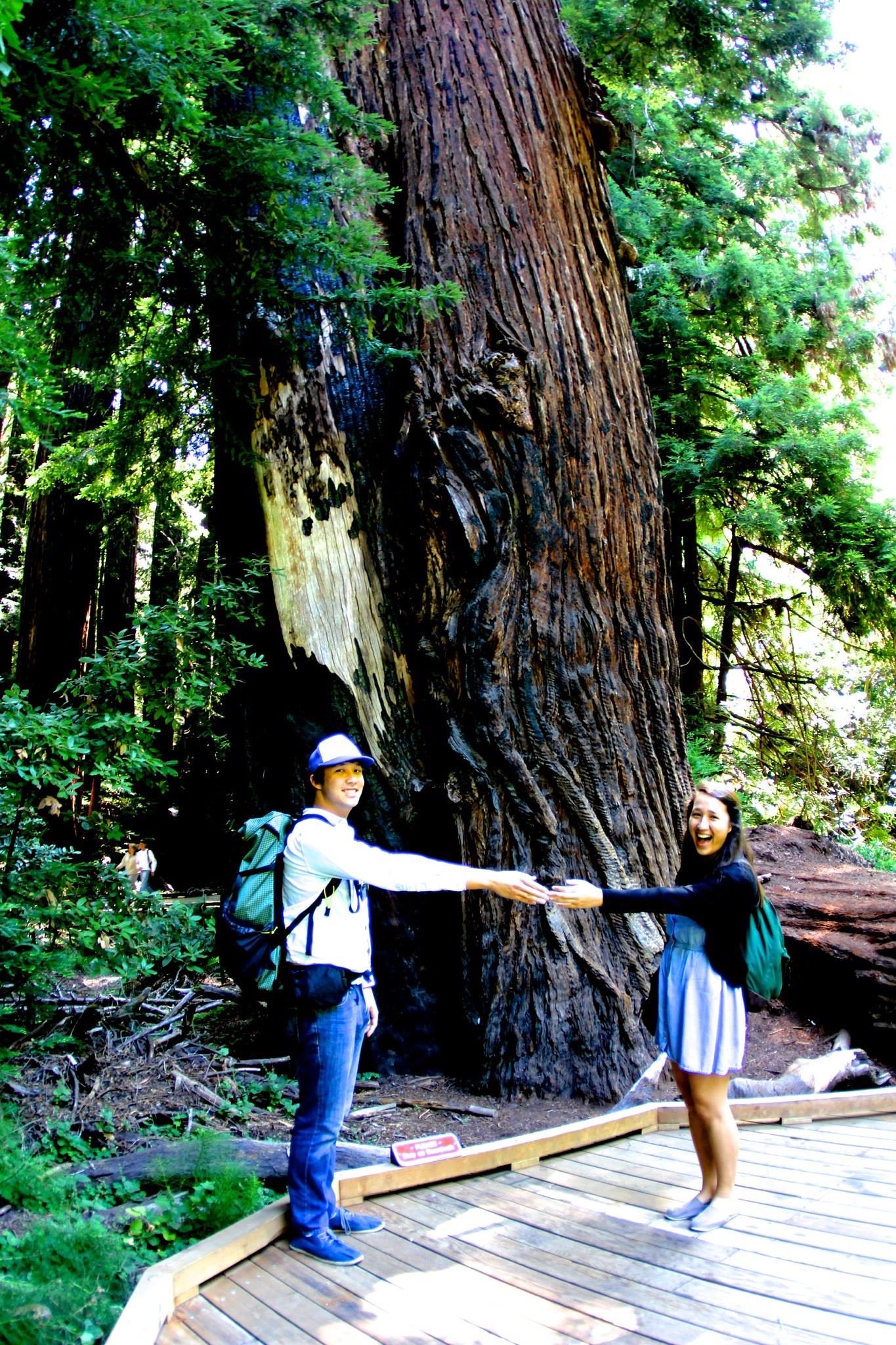 Muir Woods, because Rosalind loves that being in Berkeley means having access to so many places of natural grandeur nearby.