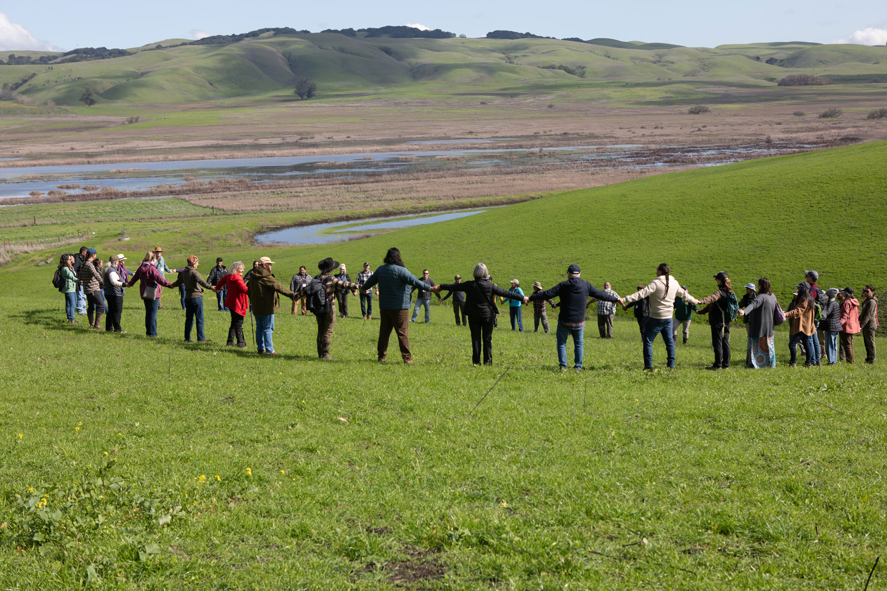 People holding hands in a circle on a hill