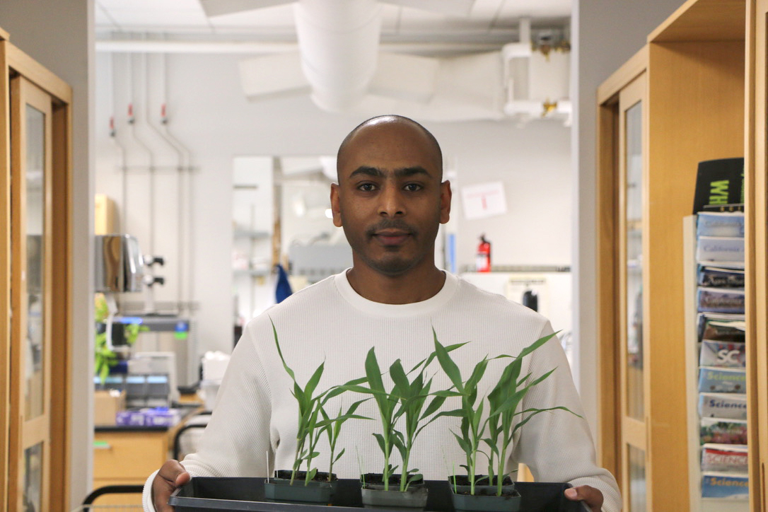 Scientist holding a tray of plant seedlings