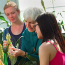 people looking at plants