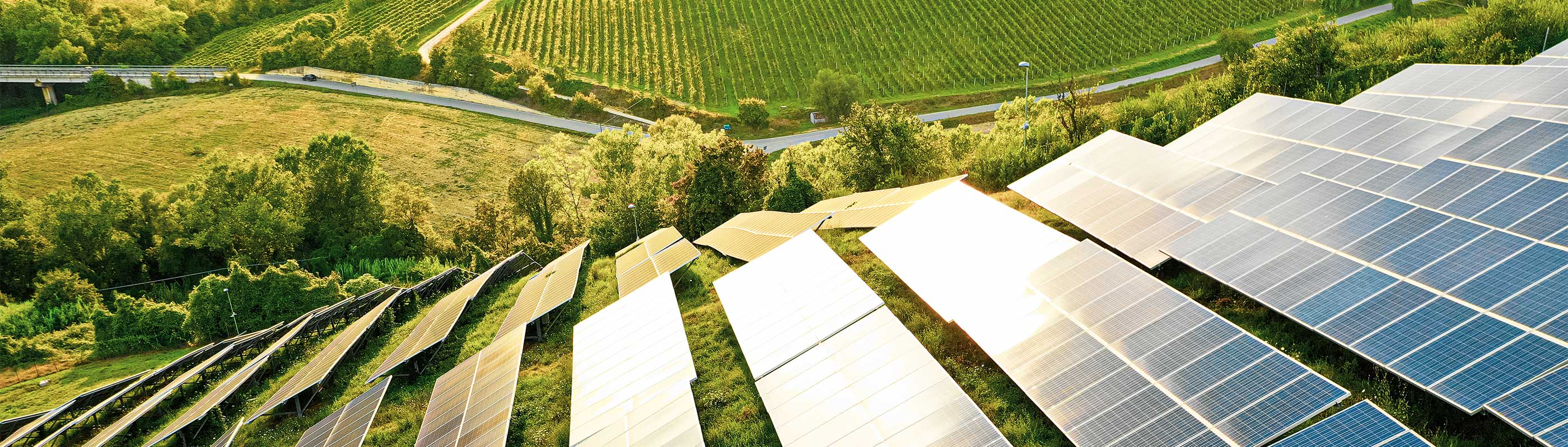An image of green fields and a group of solar panels