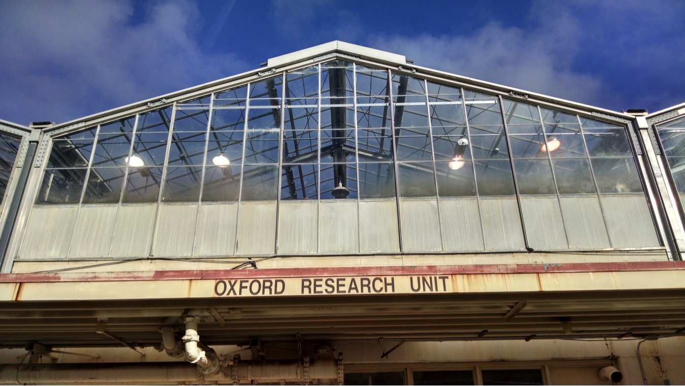 Front of Oxford greenhouse