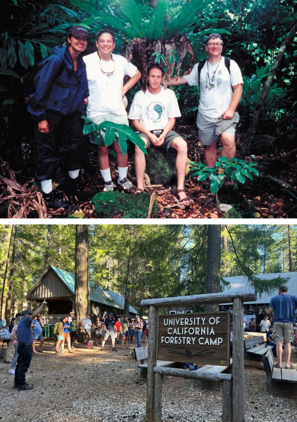 A composite image featuring a gourp photo, a man with a plant in a classroom environment, and a group of people behind a sign that reads "UC Berkeley Forestry Camp"