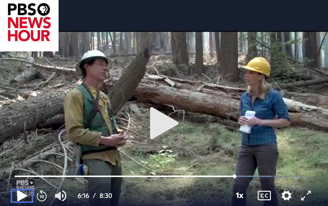 Two people talking in a forest