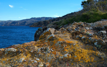 Santa Cruz coastline