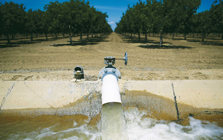 A photo of water pumped into an irrigation canal with an orchard in the background