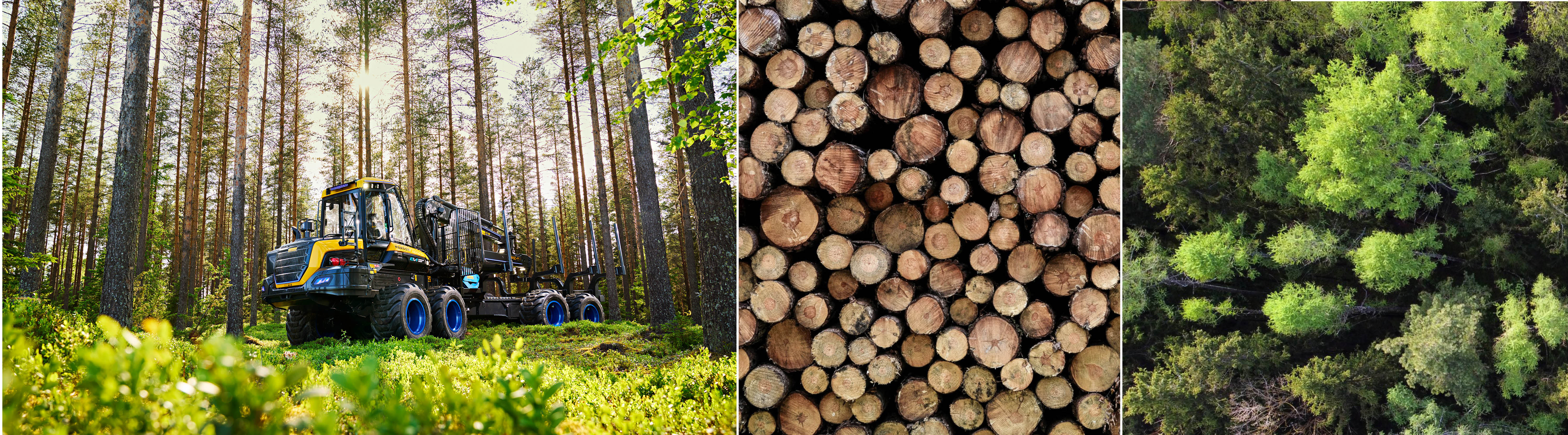Three images: a forest, logs in a pile, and an electric vehicle logging in a forest