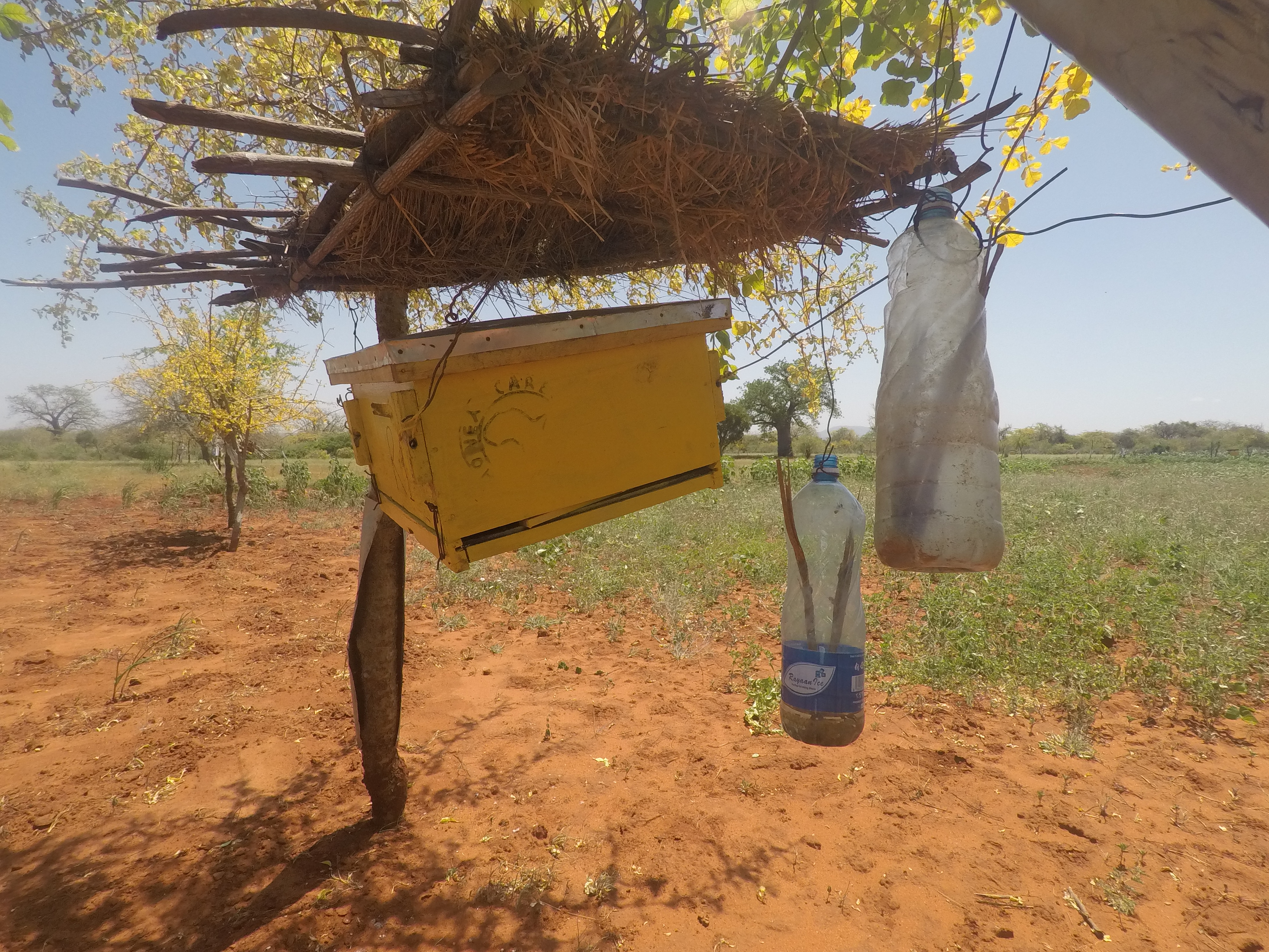 Bee hive fence.