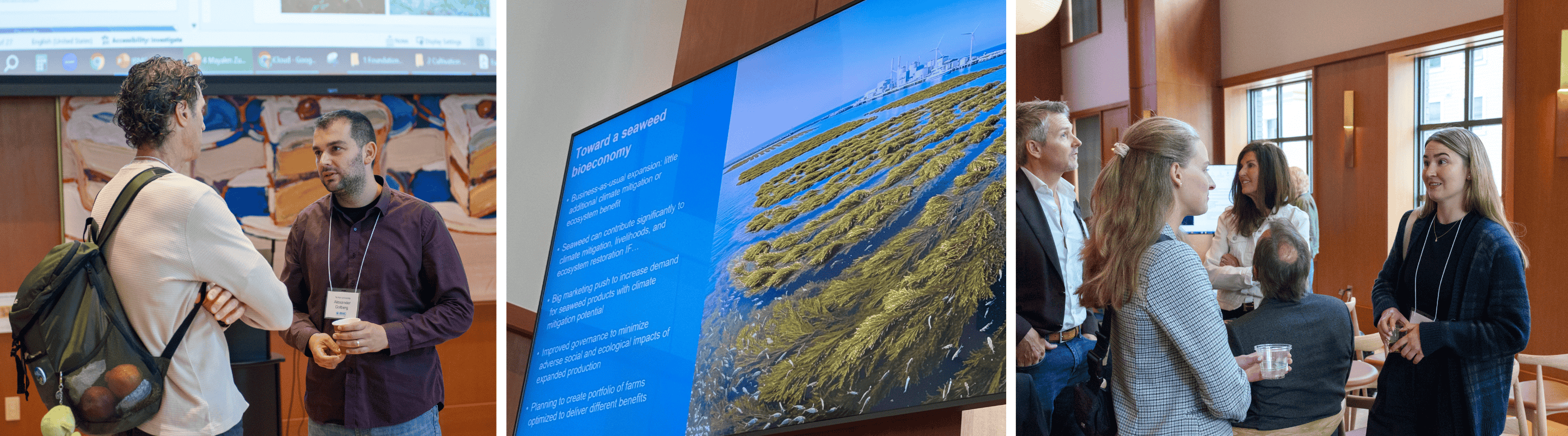 Three images: people in discussion; a powerpoint slide showing seaweed, and more people in discussion