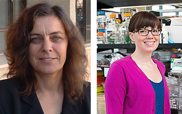 Professors Seed and Banfield each are recieving large grants for medical research.