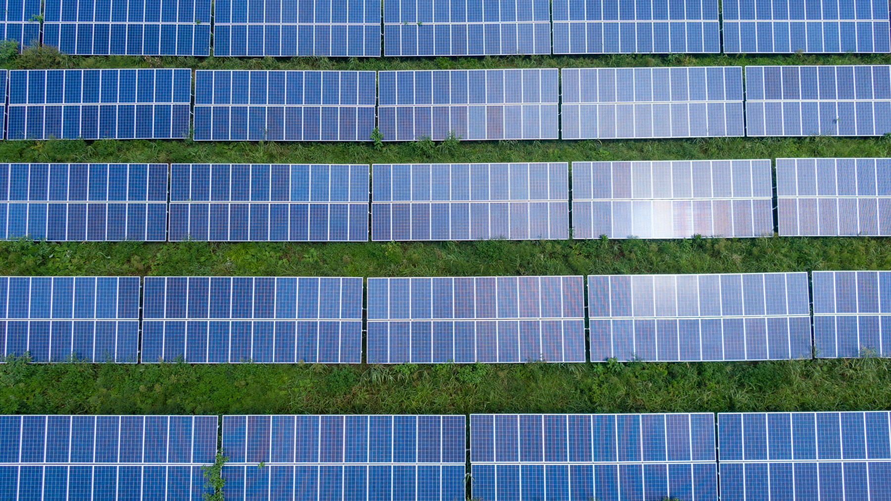 An aerial view solar panels against a background of green grass.