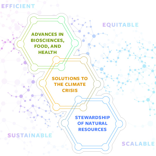 A graphic that displays Rausser College's strategic vision framework