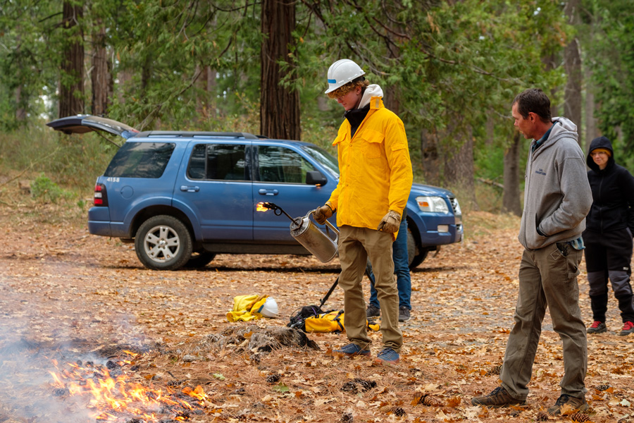 A photo of a man in a yellow protective jacket and safety gear holds a drip torch in a forst.