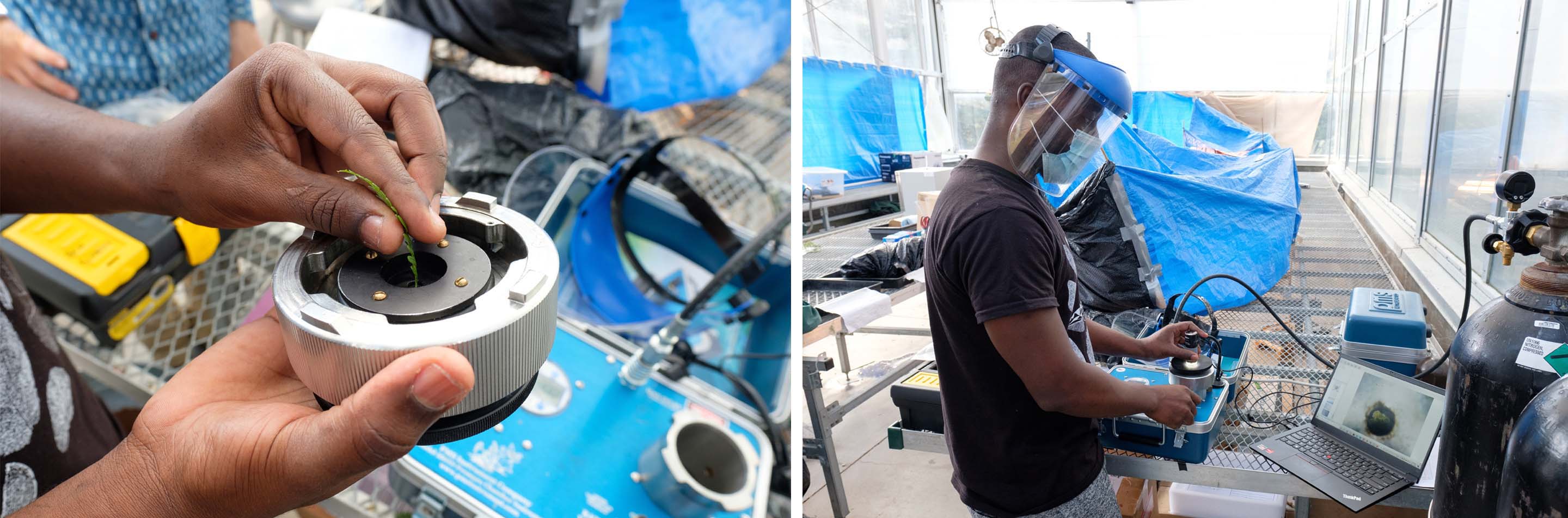 Boakye places the sample into a pressure chamber to measure its water potential